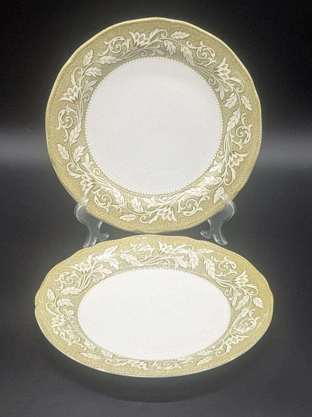 Vintage J & G Meakin Royal Staffordshire Victoria Pattern Dinner Plates Wear